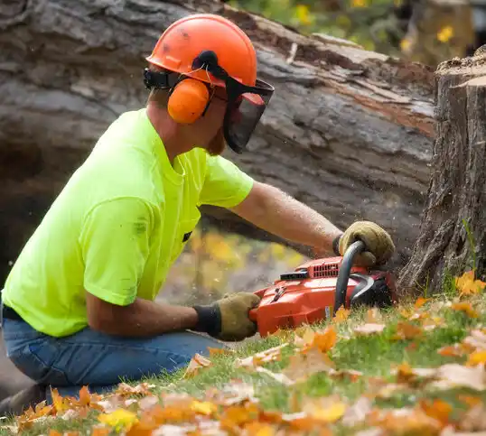 tree services Mocksville